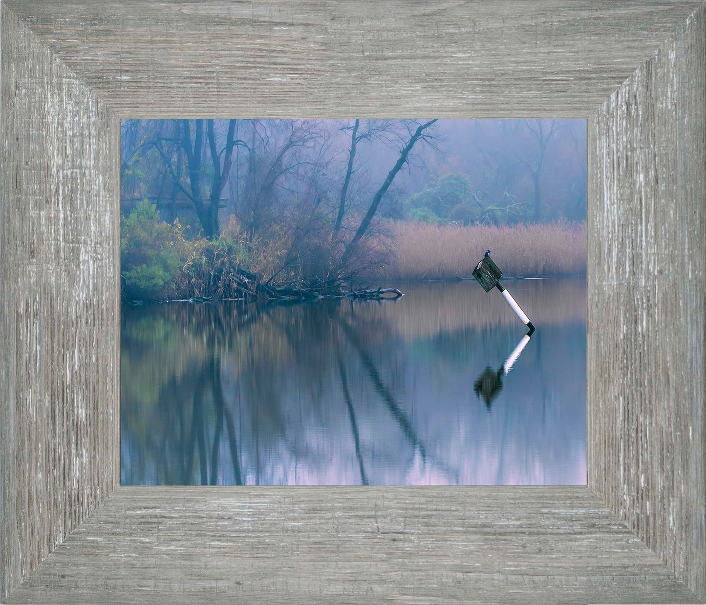 Bird on a Box -- Digital Print