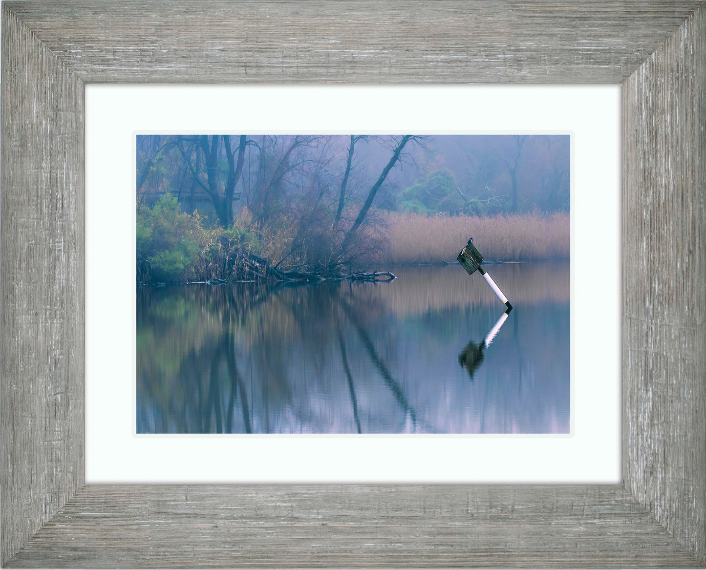 Bird on a Box -- Digital Print