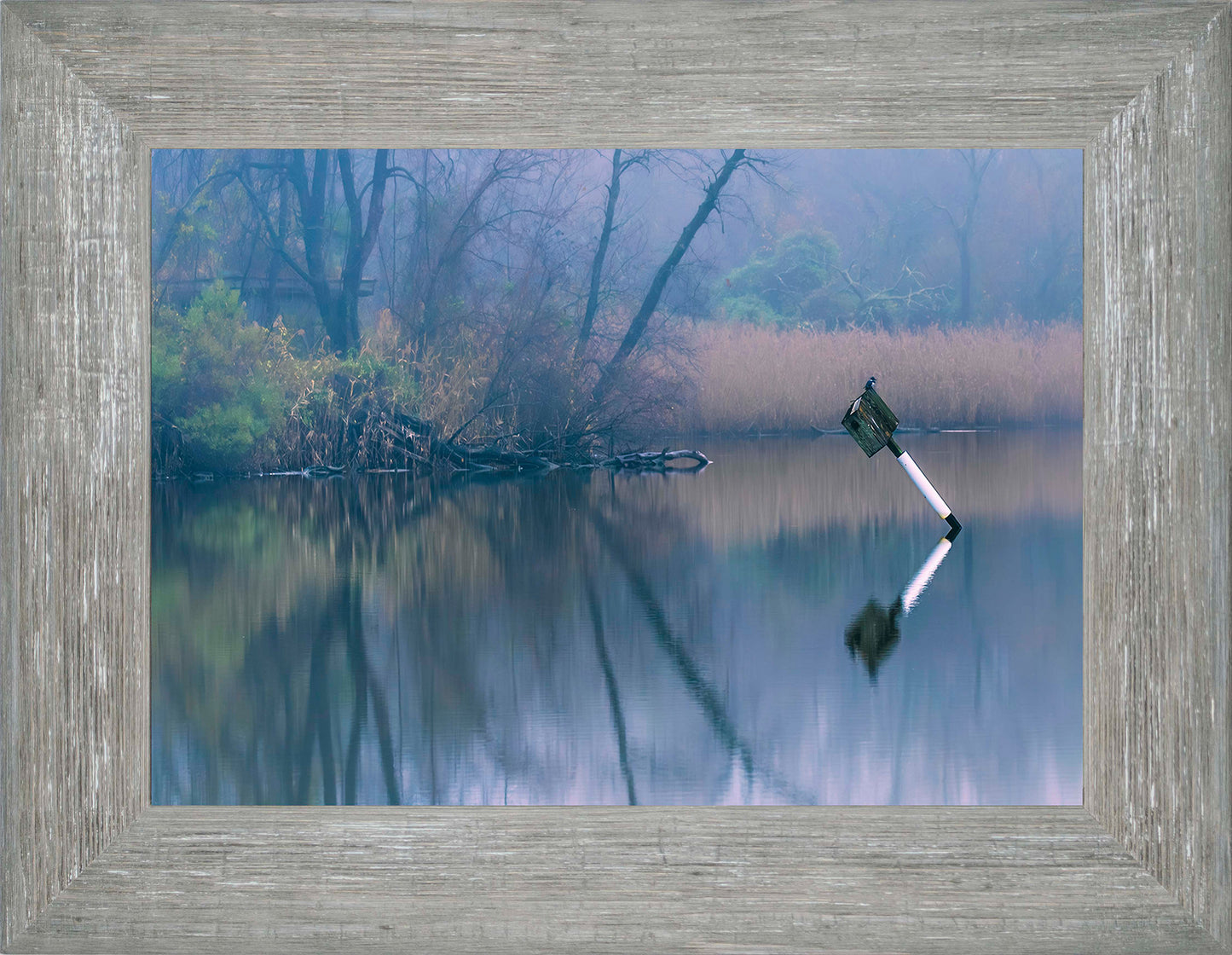 Bird on a Box -- Digital Print