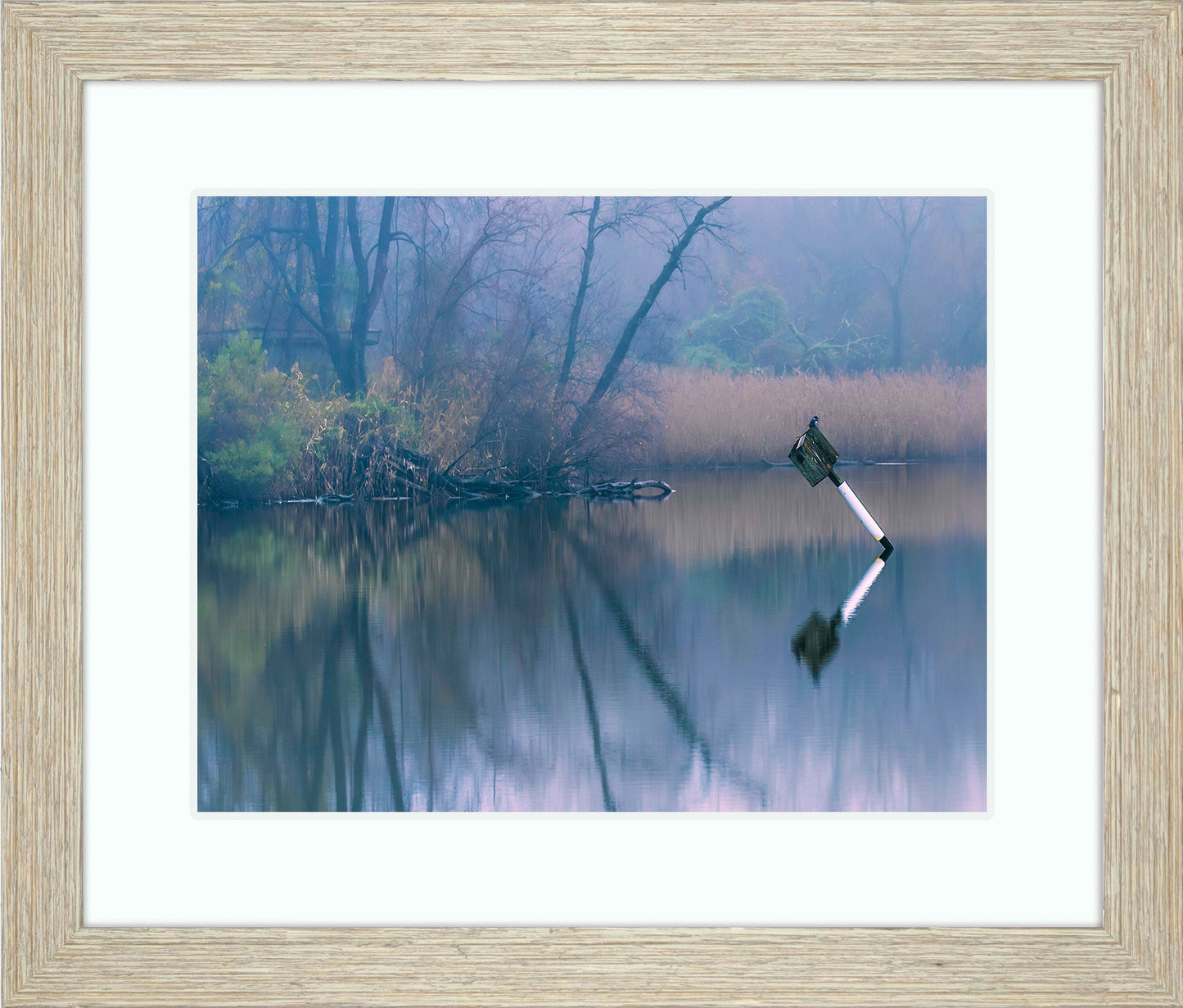 Bird on a Box -- Digital Print