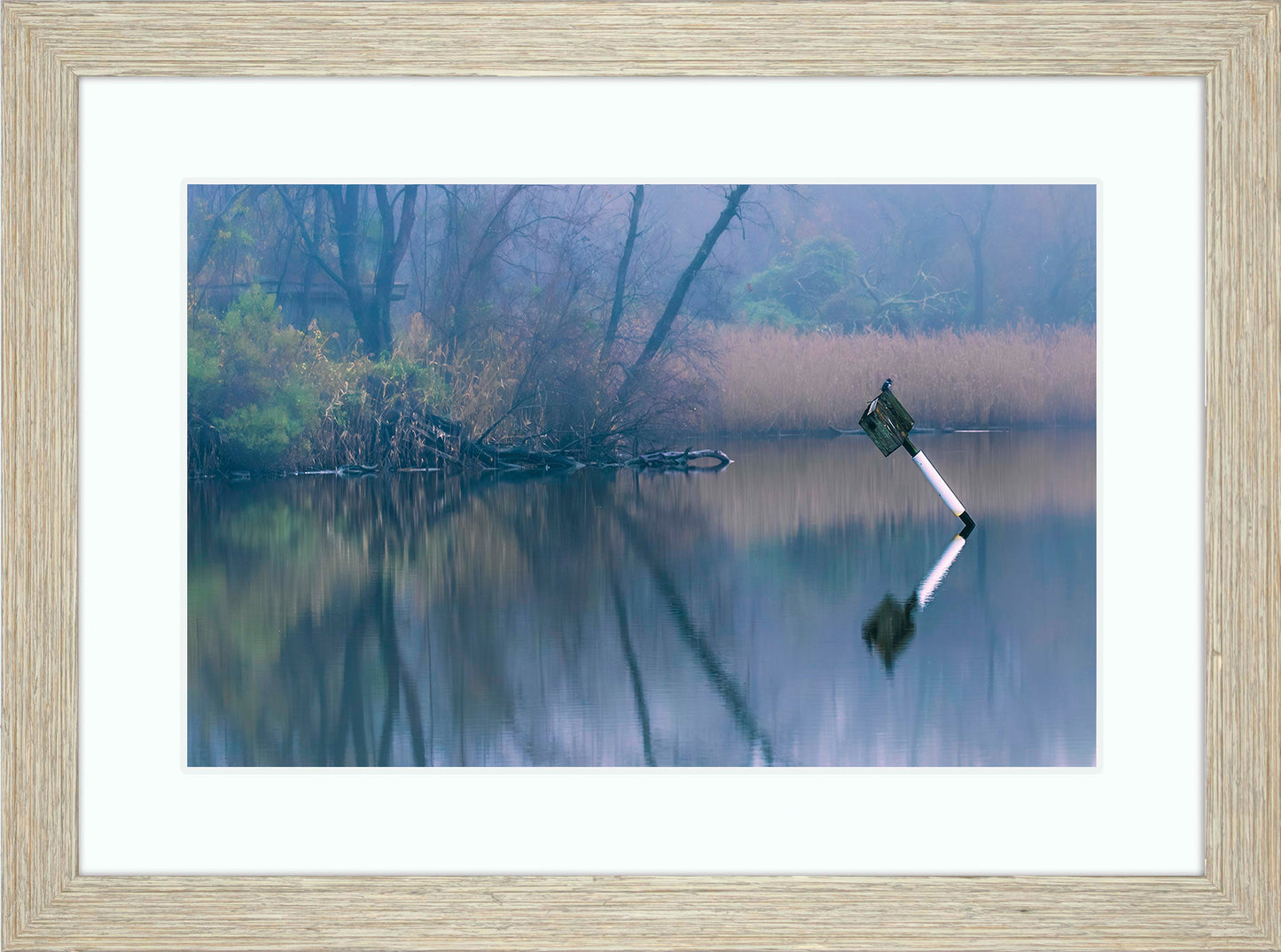 Bird on a Box -- Digital Print