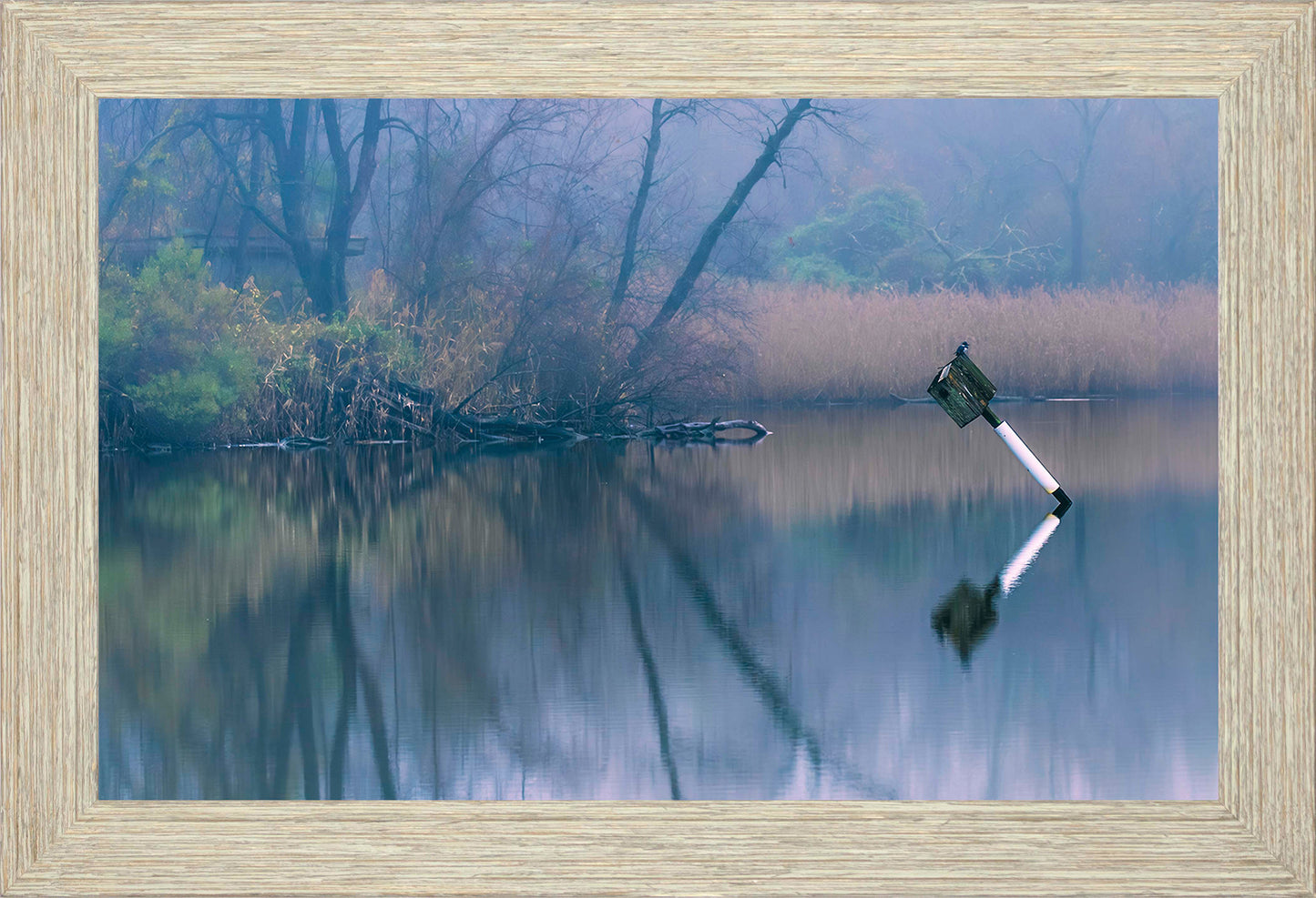 Bird on a Box -- Digital Print