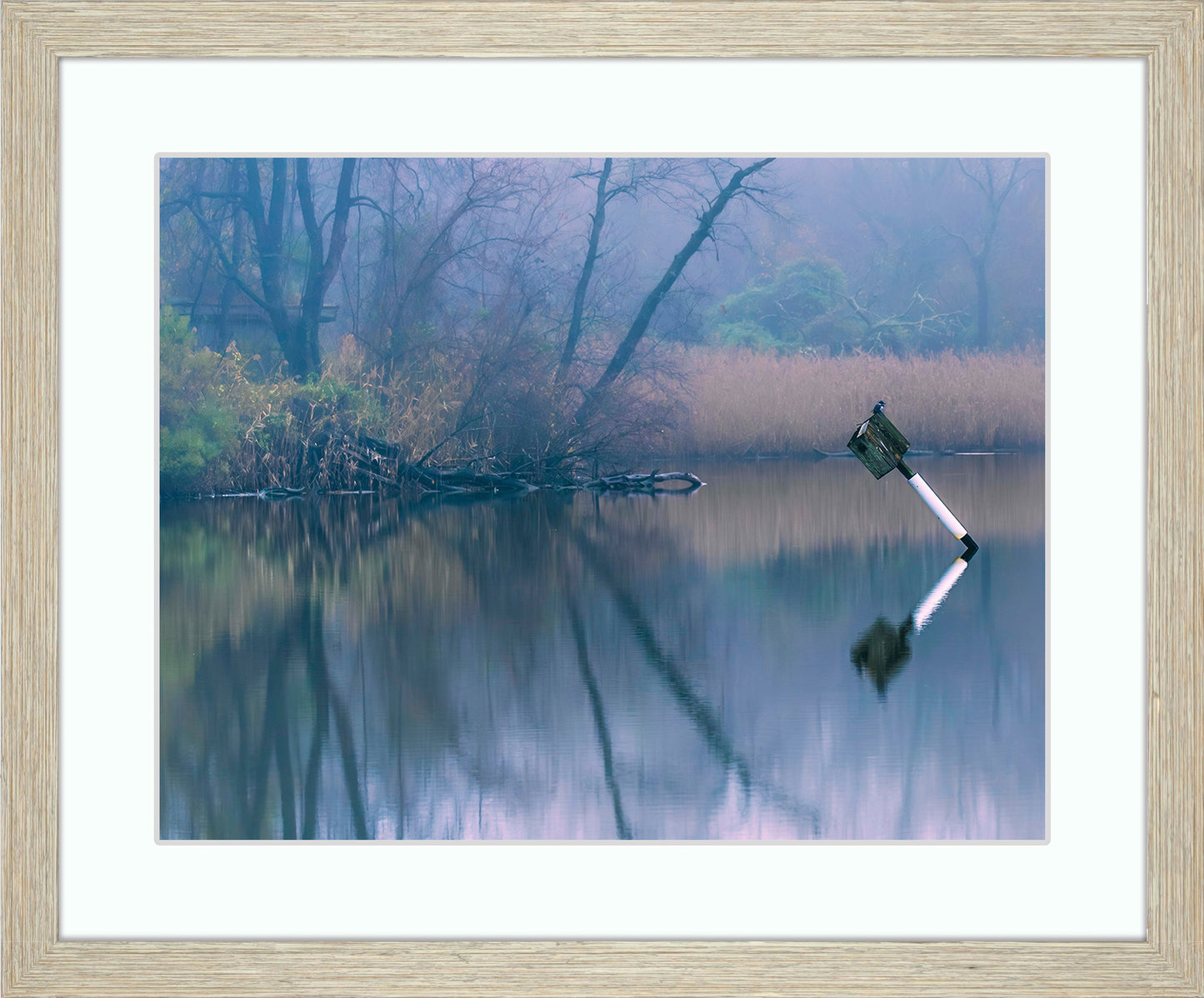Bird on a Box -- Digital Print