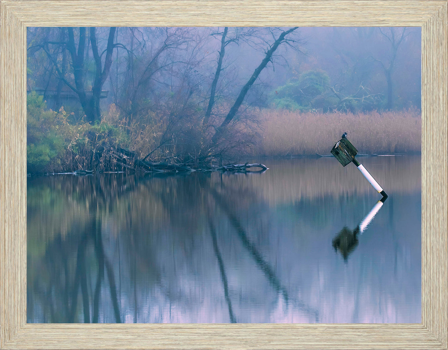 Bird on a Box -- Digital Print