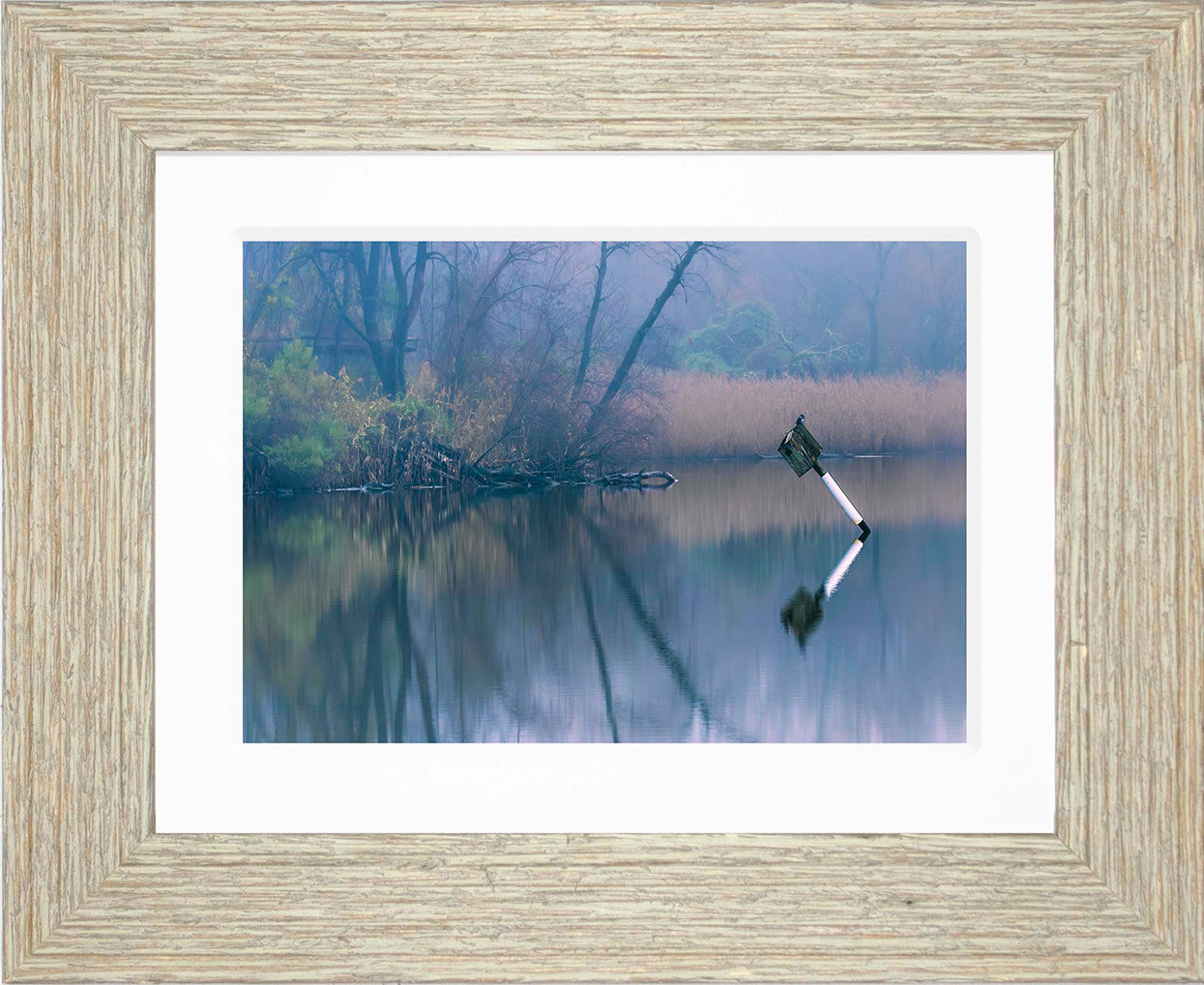 Bird on a Box -- Digital Print