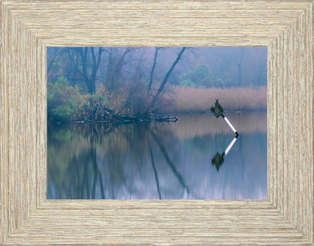 Bird on a Box -- Digital Print