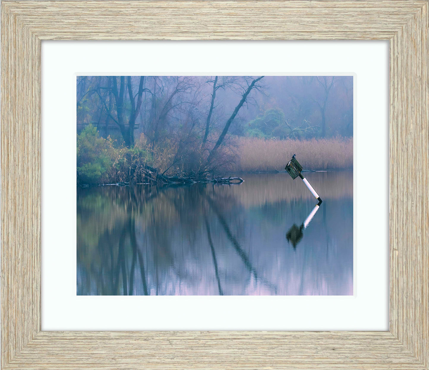 Bird on a Box -- Digital Print