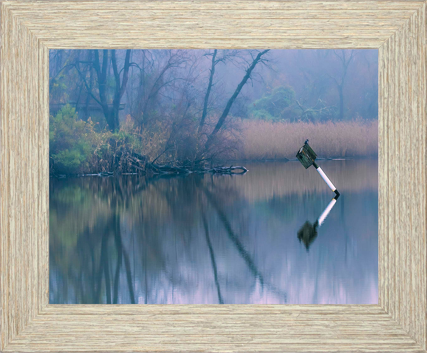 Bird on a Box -- Digital Print