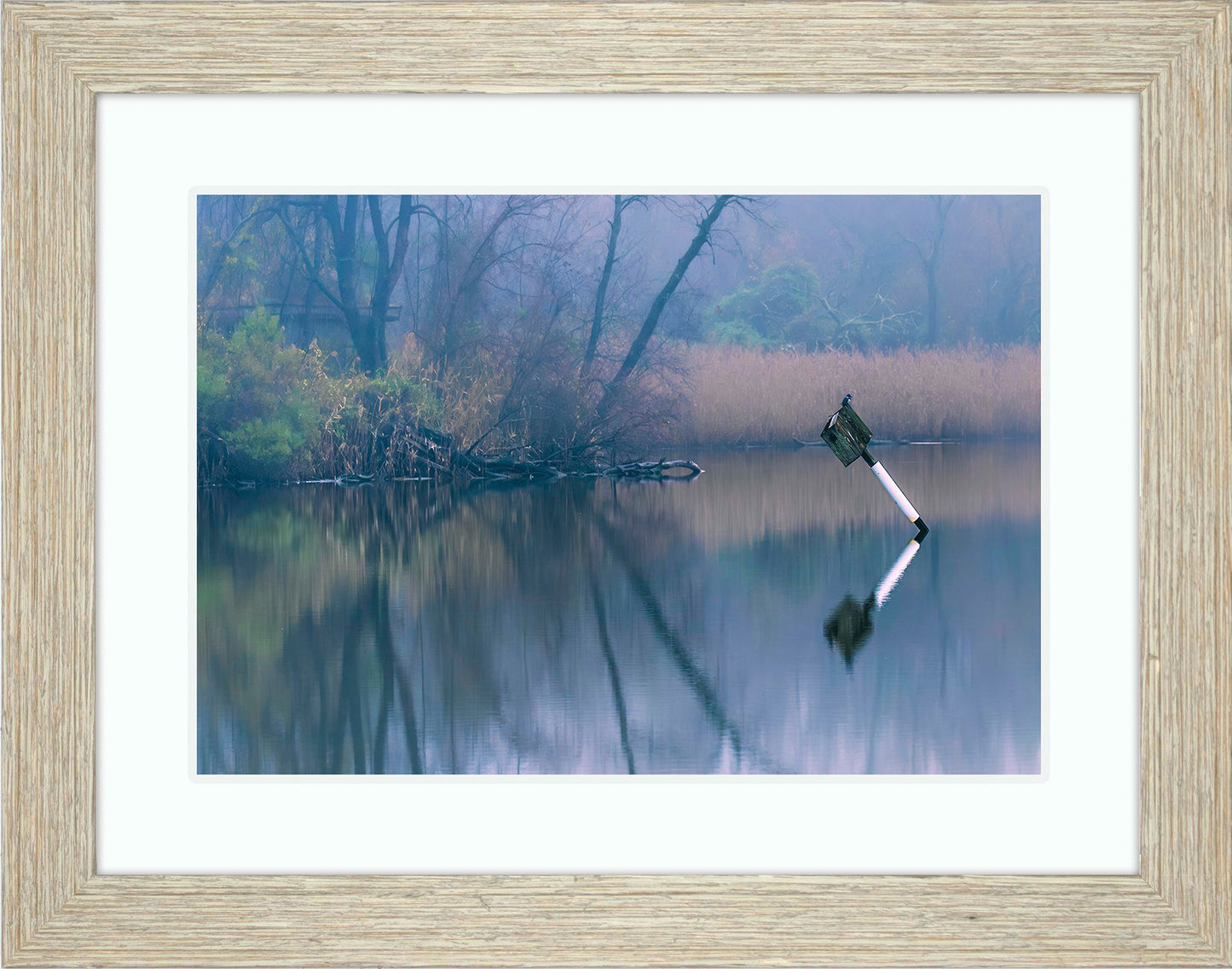 Bird on a Box -- Digital Print