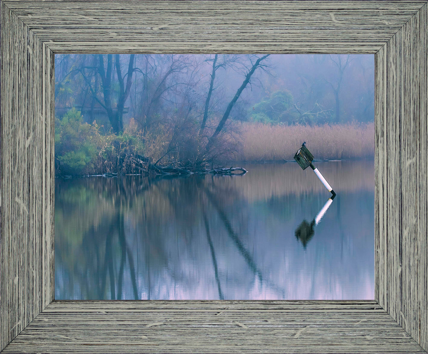 Bird on a Box -- Digital Print