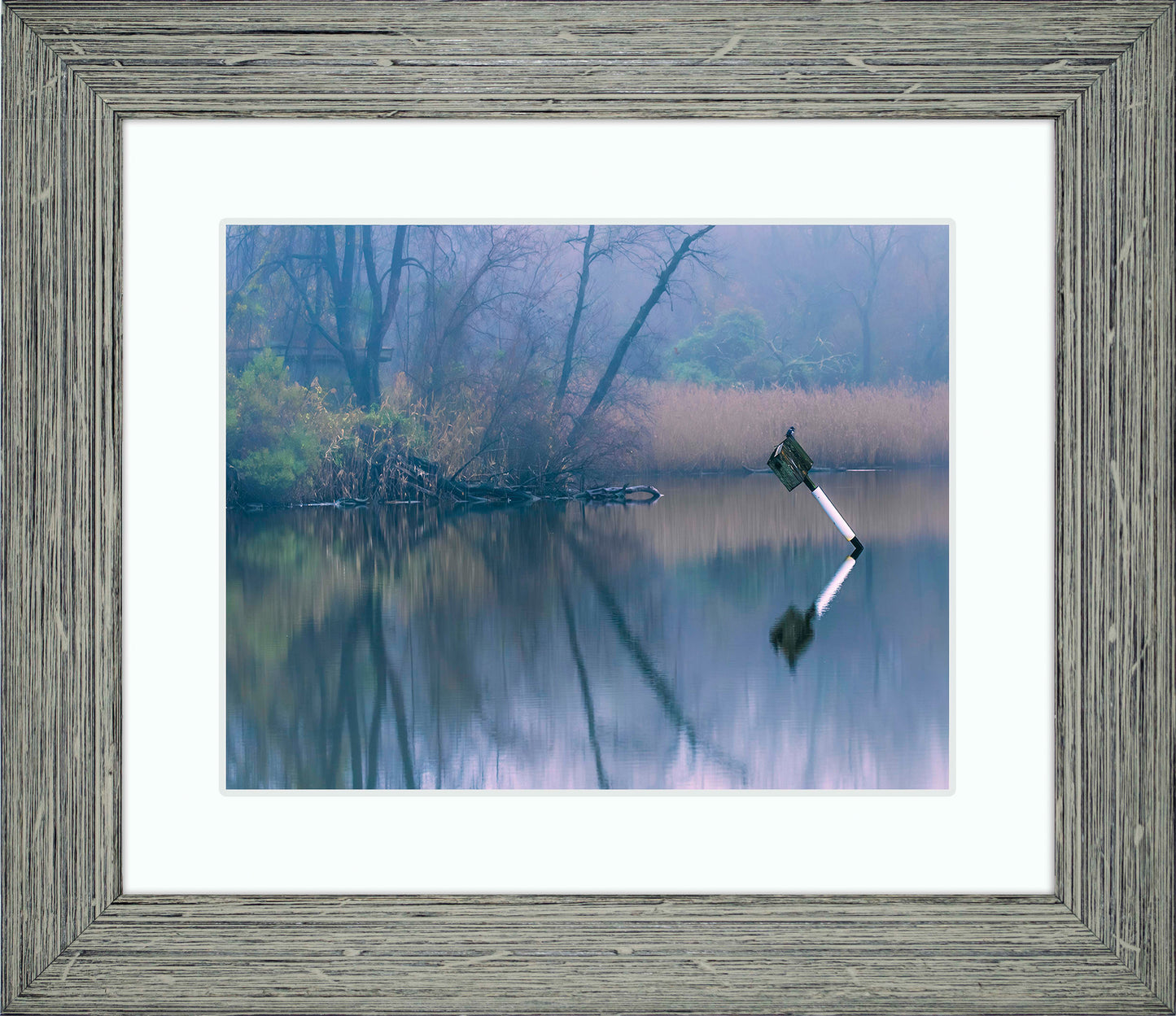 Bird on a Box -- Digital Print