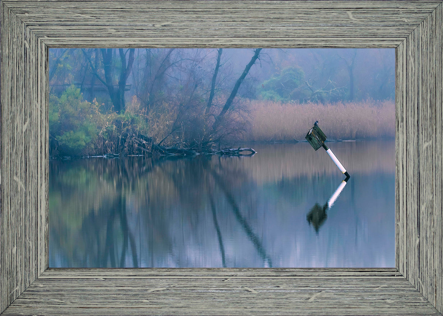 Bird on a Box -- Digital Print