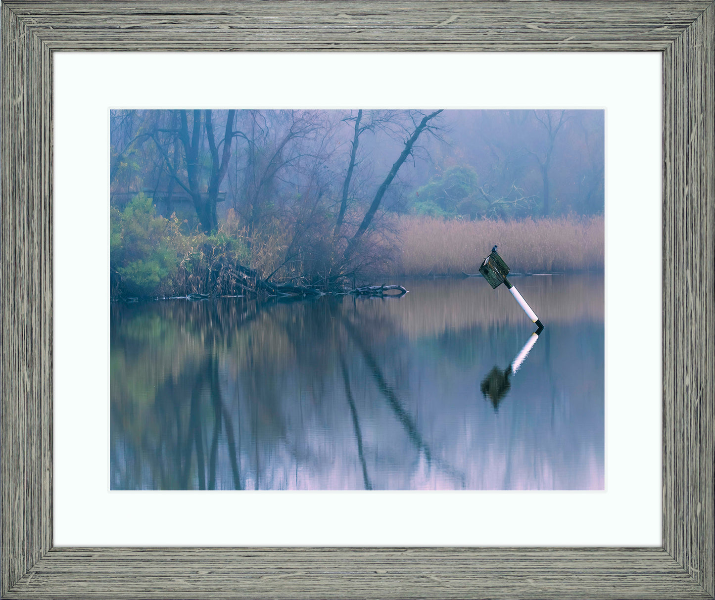Bird on a Box -- Digital Print