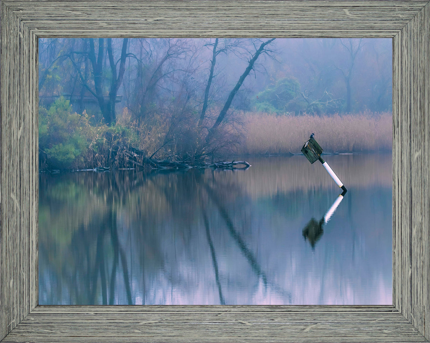 Bird on a Box -- Digital Print