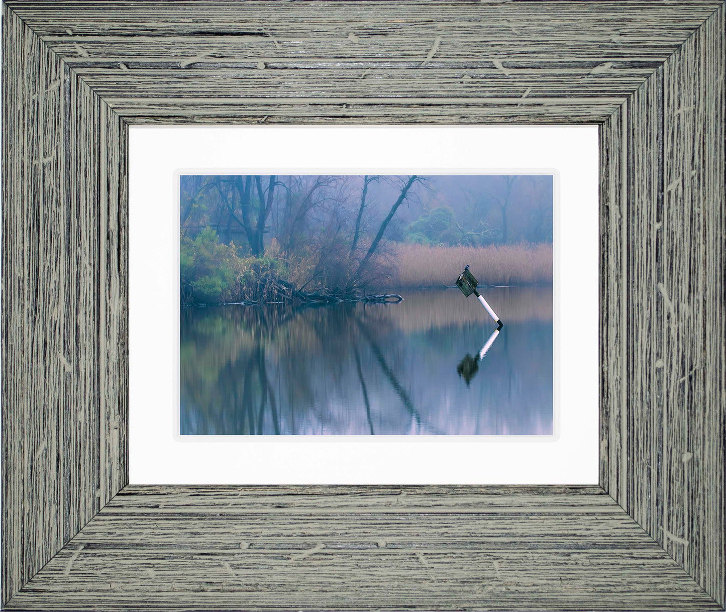 Bird on a Box -- Digital Print