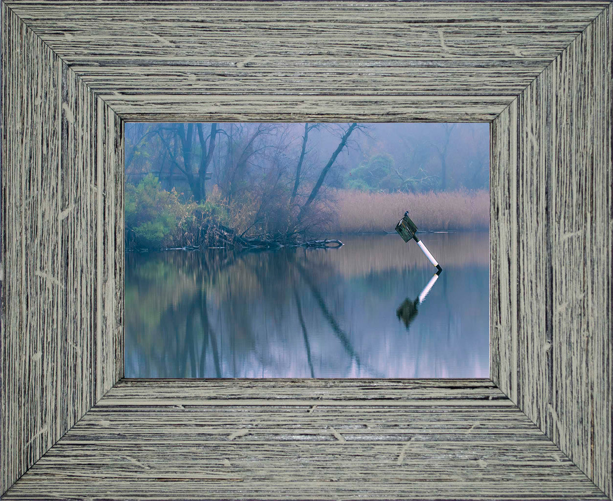 Bird on a Box -- Digital Print