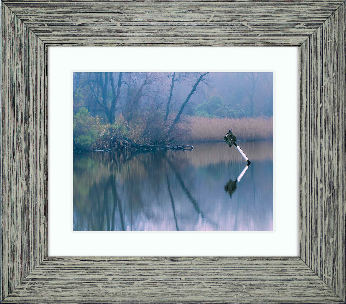 Bird on a Box -- Digital Print