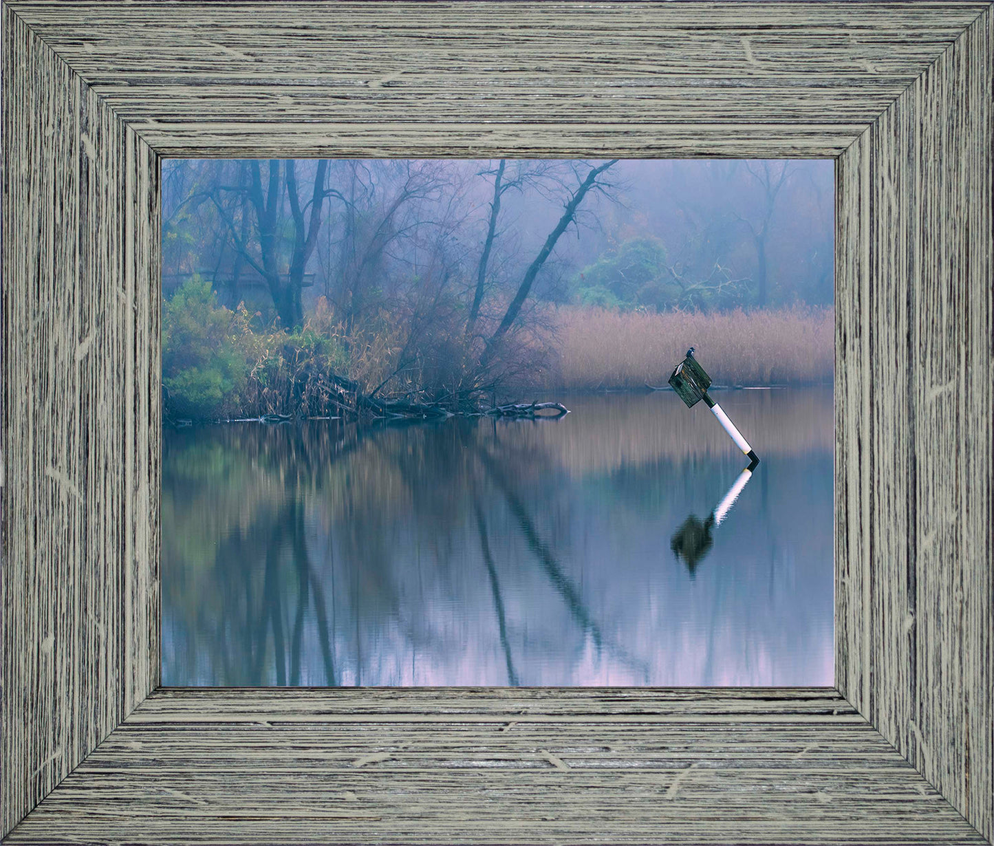 Bird on a Box -- Digital Print