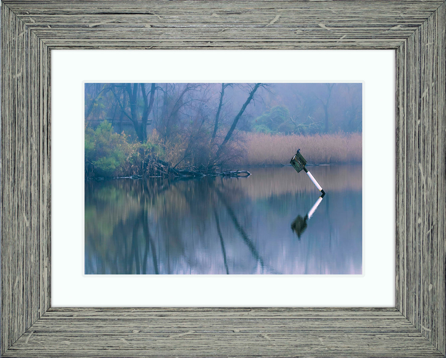 Bird on a Box -- Digital Print