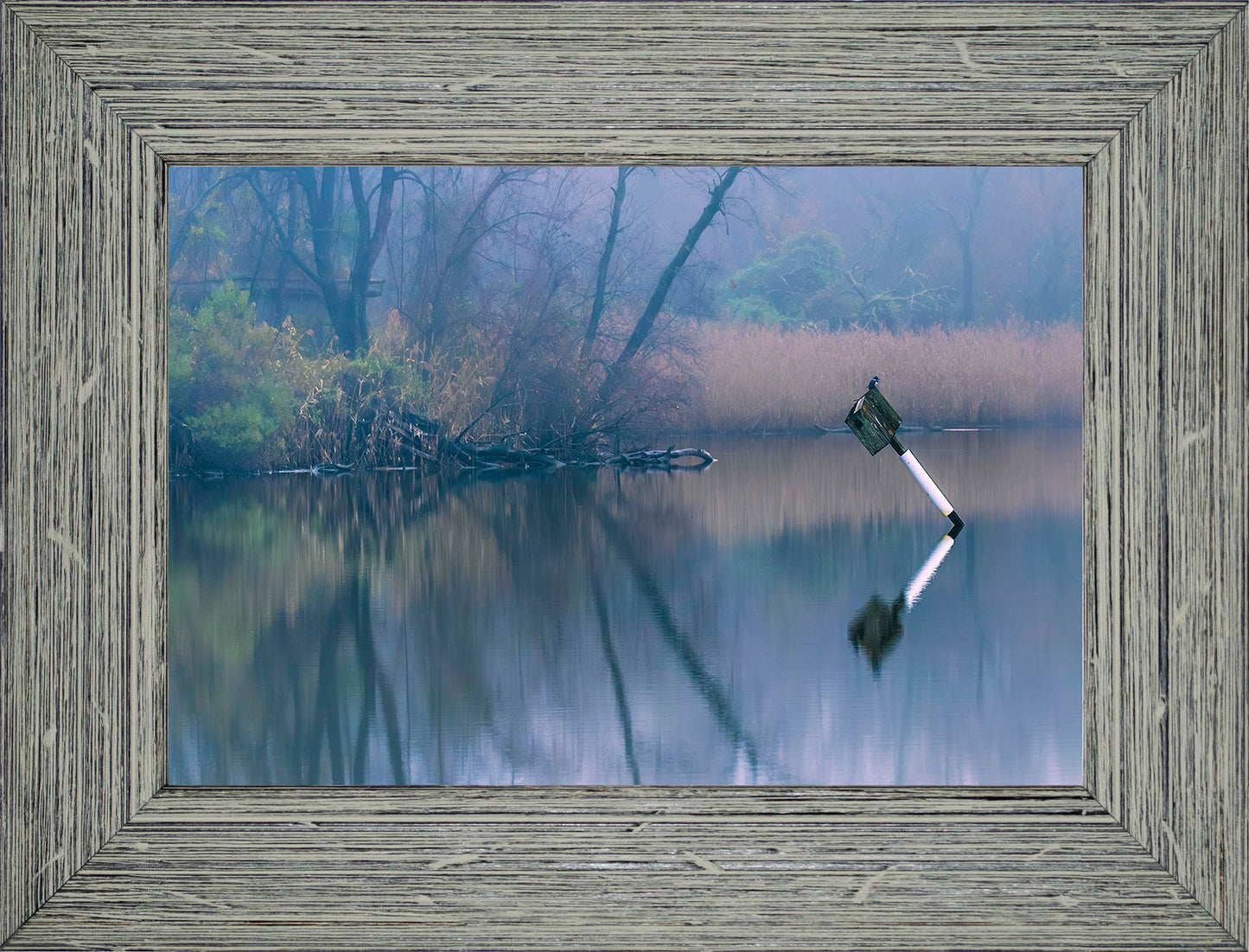 Bird on a Box -- Digital Print