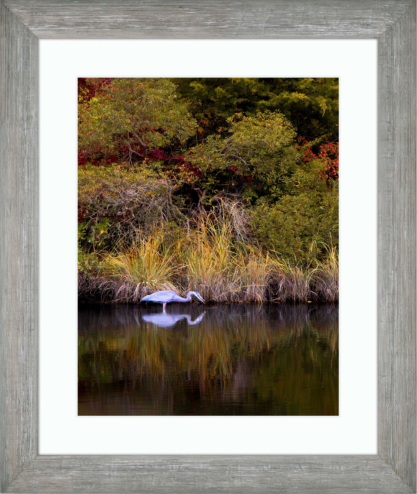 Cadle Creek Heron Striking (Portrait) -- Digital Print