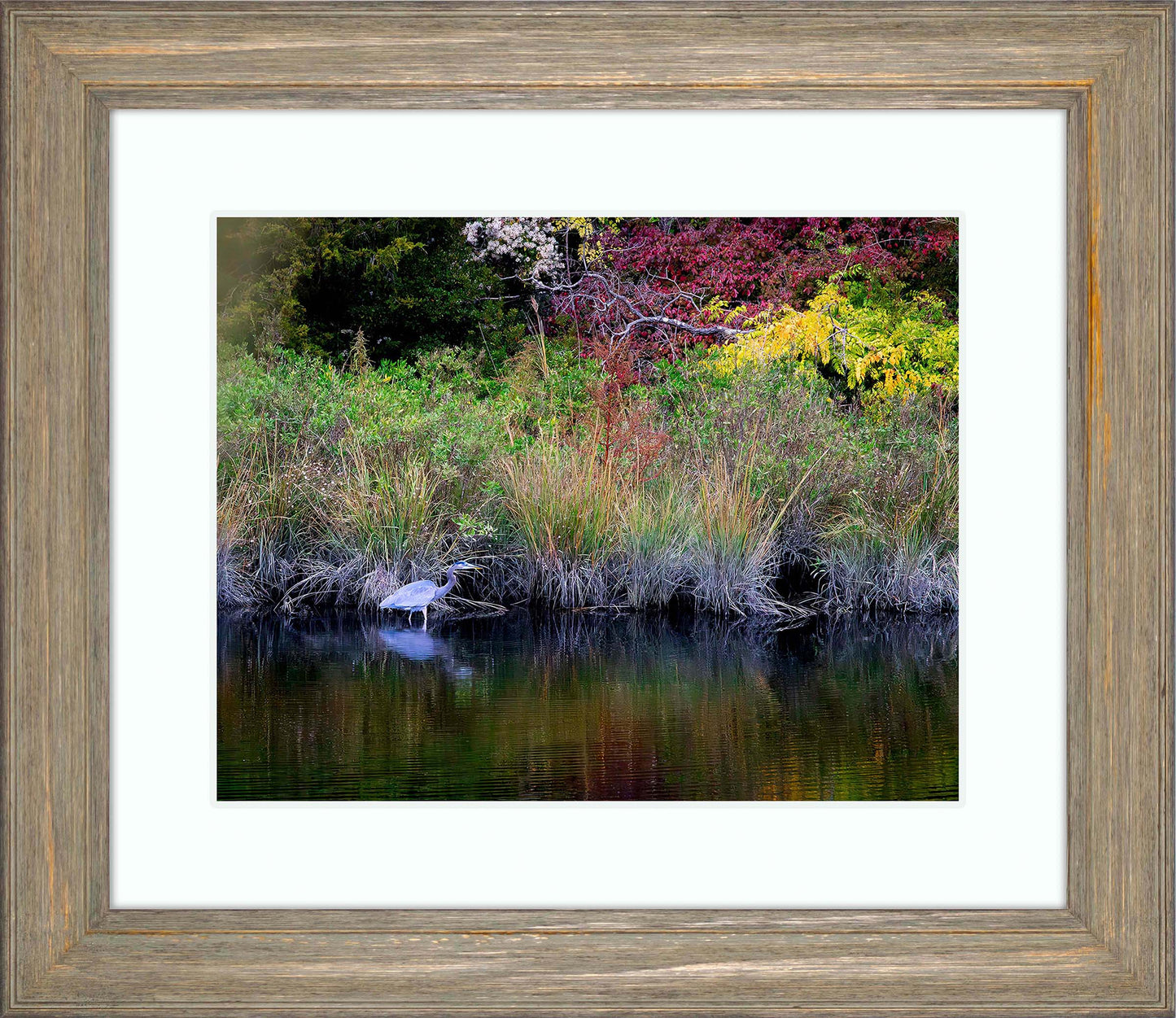 Cadle Creek Heron (Landscape) -- Digital Print