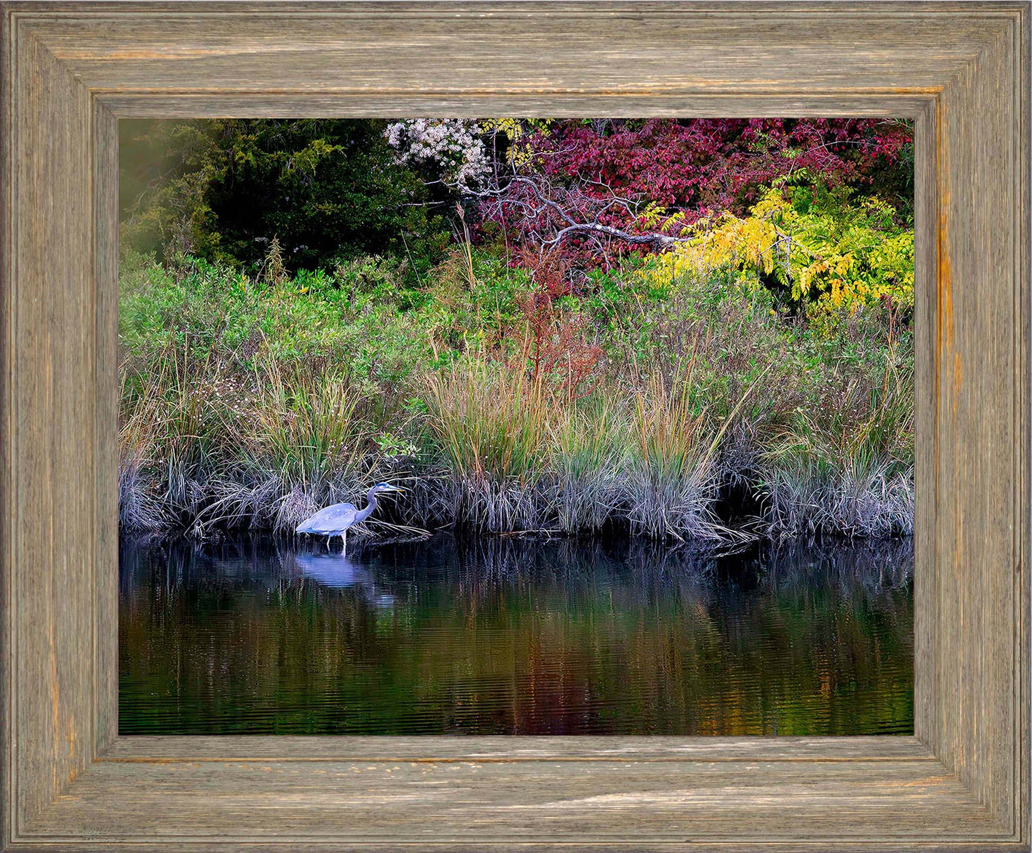 Cadle Creek Heron (Landscape) -- Digital Print