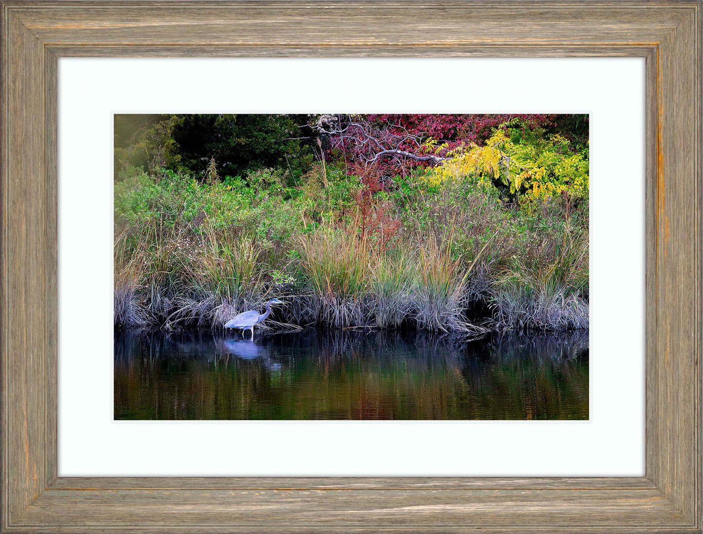 Cadle Creek Heron (Landscape) -- Digital Print