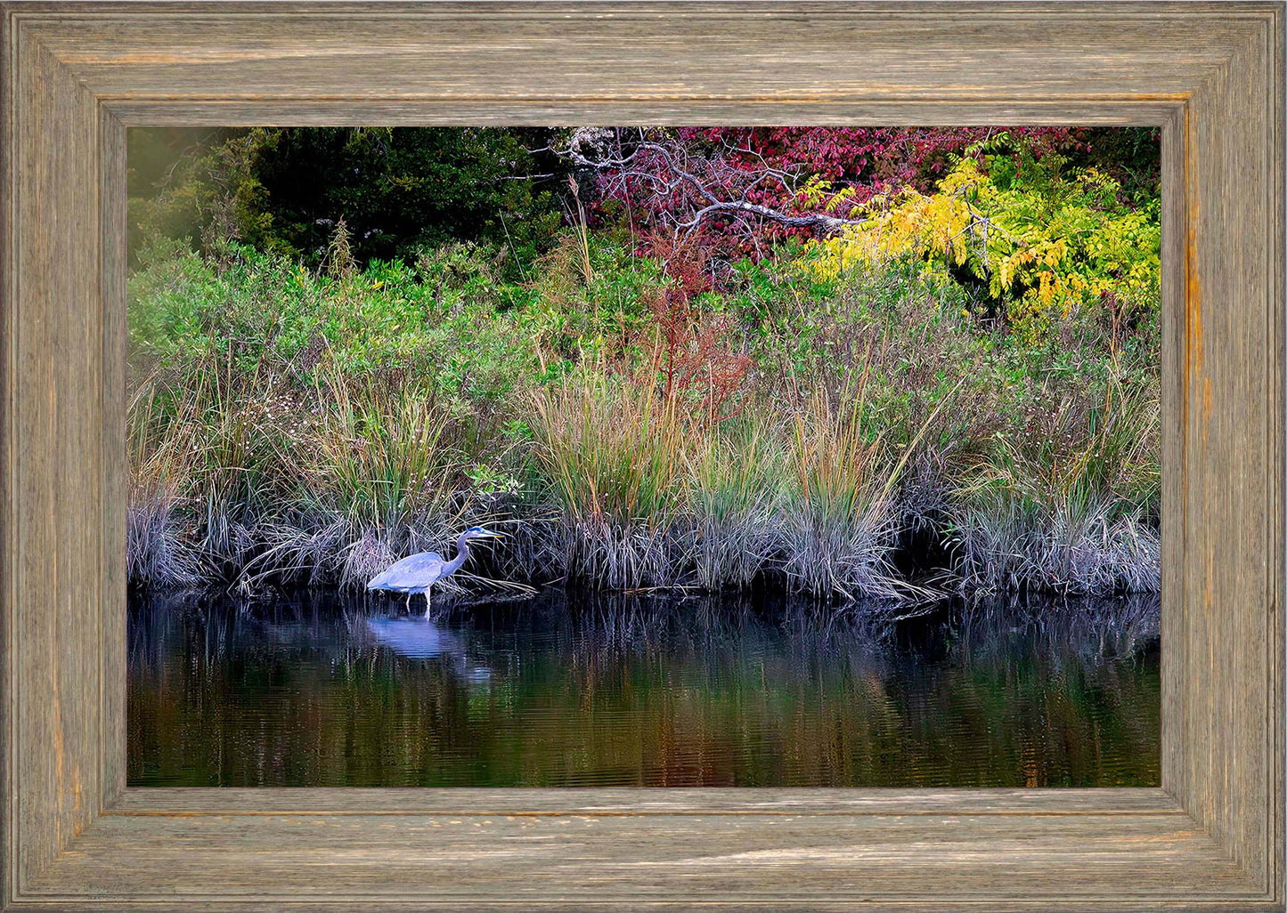 Cadle Creek Heron (Landscape) -- Digital Print