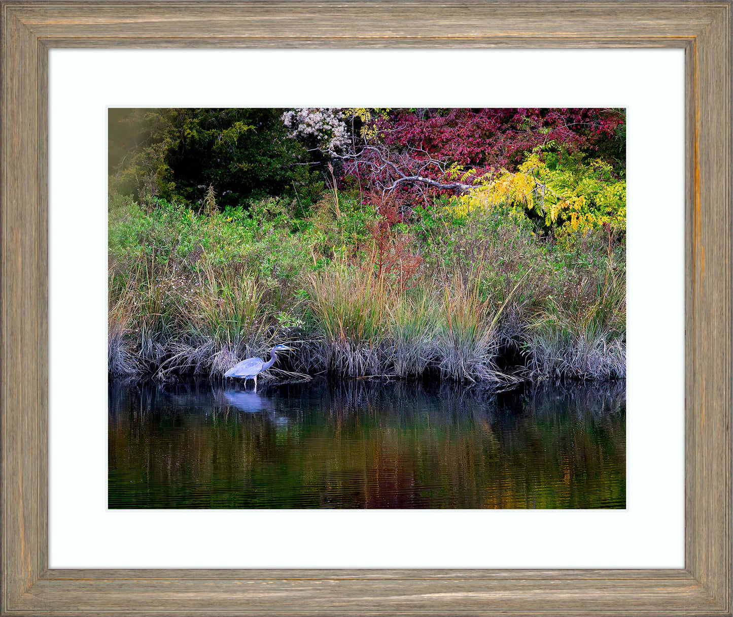 Cadle Creek Heron (Landscape) -- Digital Print
