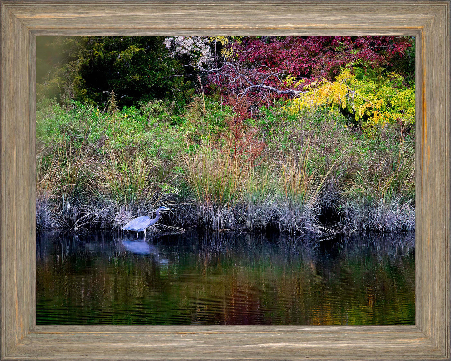 Cadle Creek Heron (Landscape) -- Digital Print