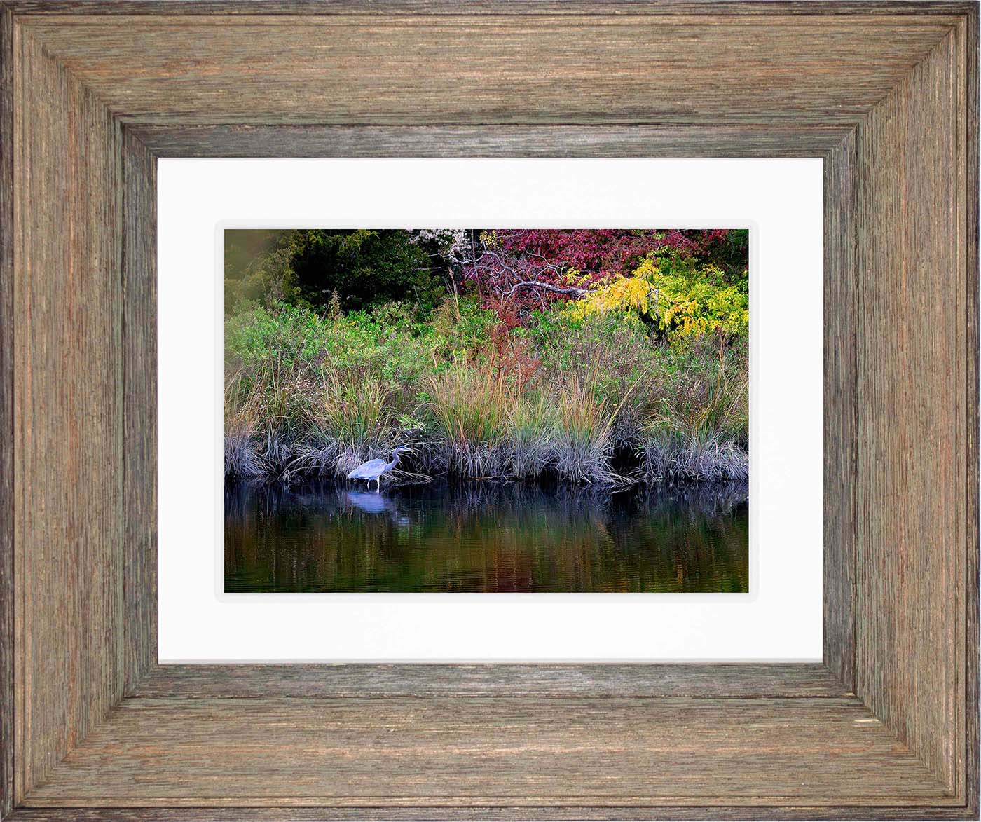 Cadle Creek Heron (Landscape) -- Digital Print