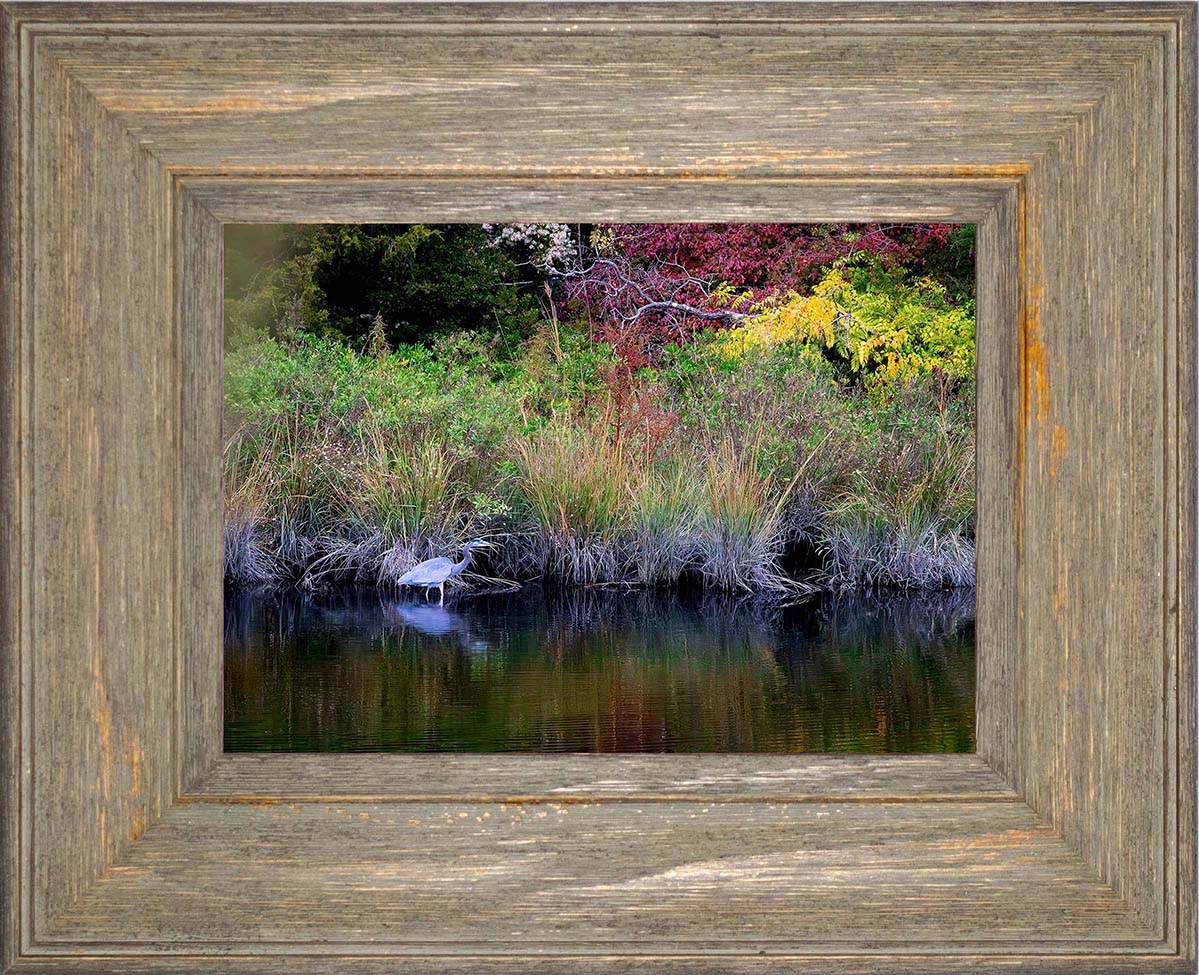 Cadle Creek Heron (Landscape) -- Digital Print