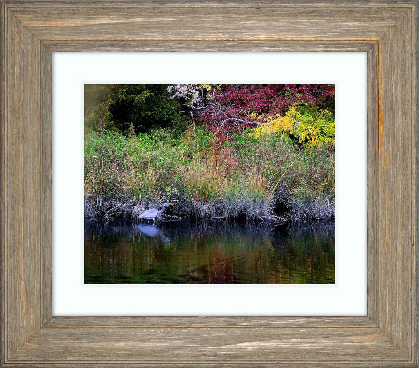 Cadle Creek Heron (Landscape) -- Digital Print