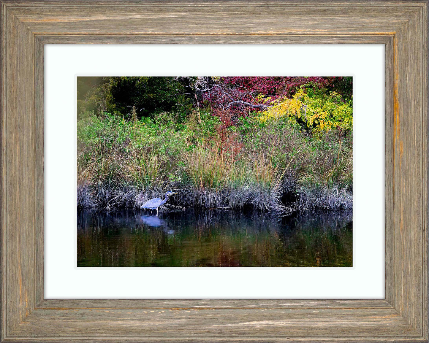 Cadle Creek Heron (Landscape) -- Digital Print