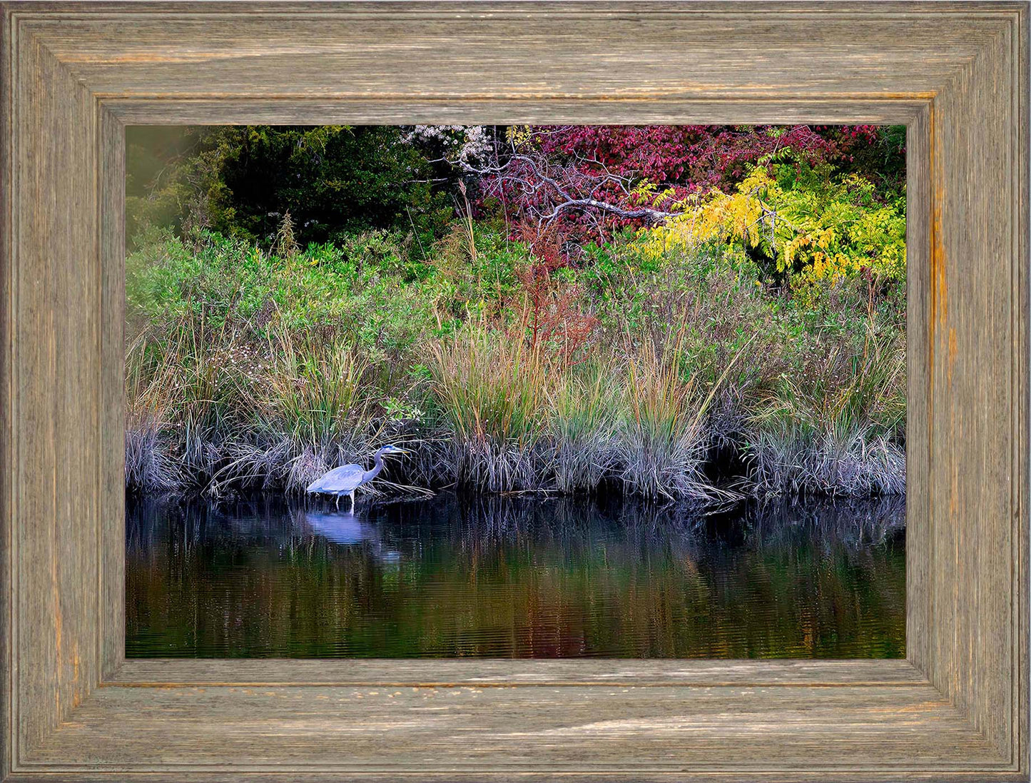 Cadle Creek Heron (Landscape) -- Digital Print