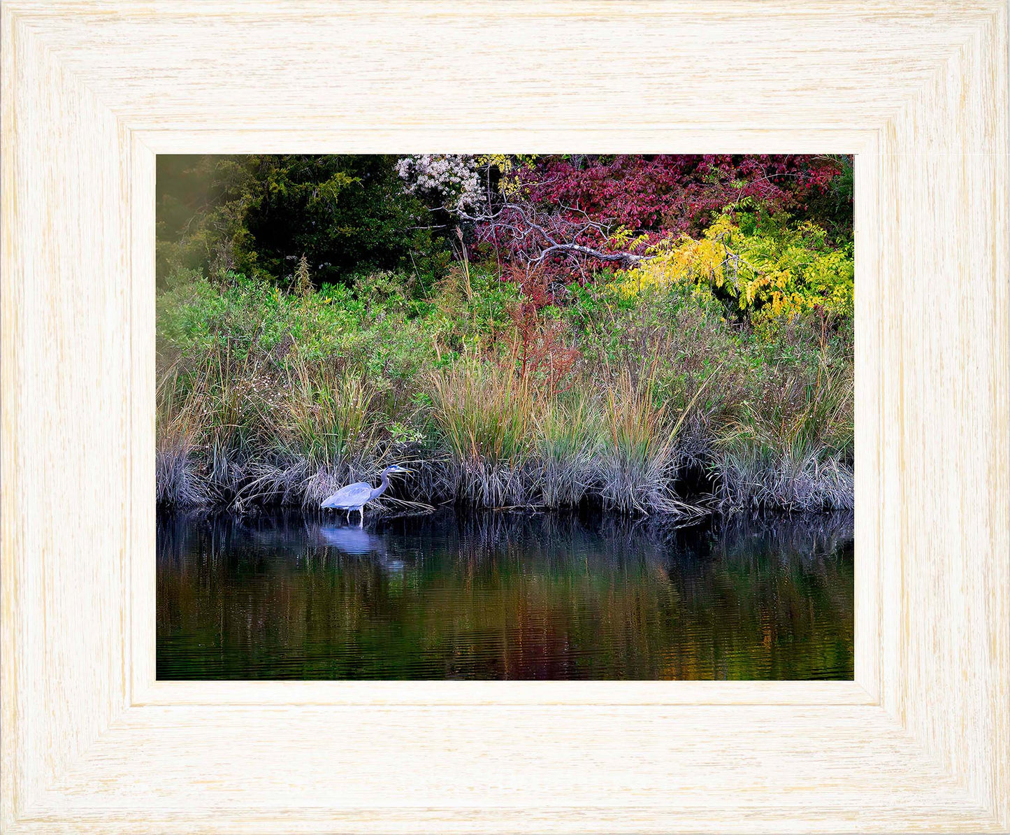 Cadle Creek Heron (Landscape) -- Digital Print
