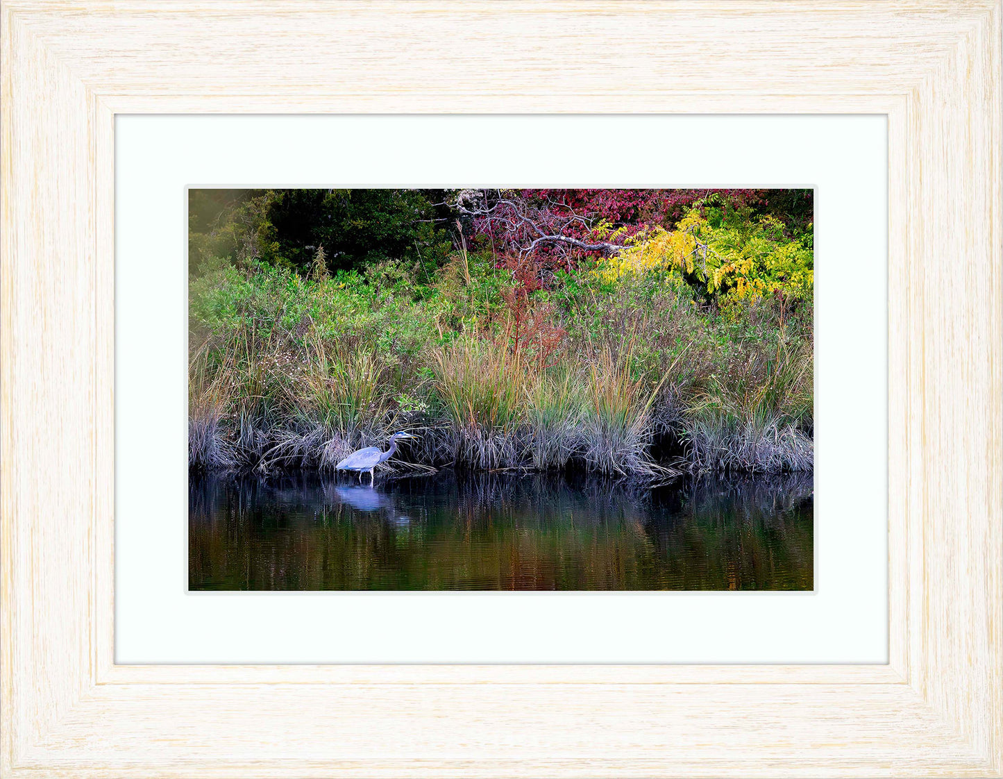 Cadle Creek Heron (Landscape) -- Digital Print