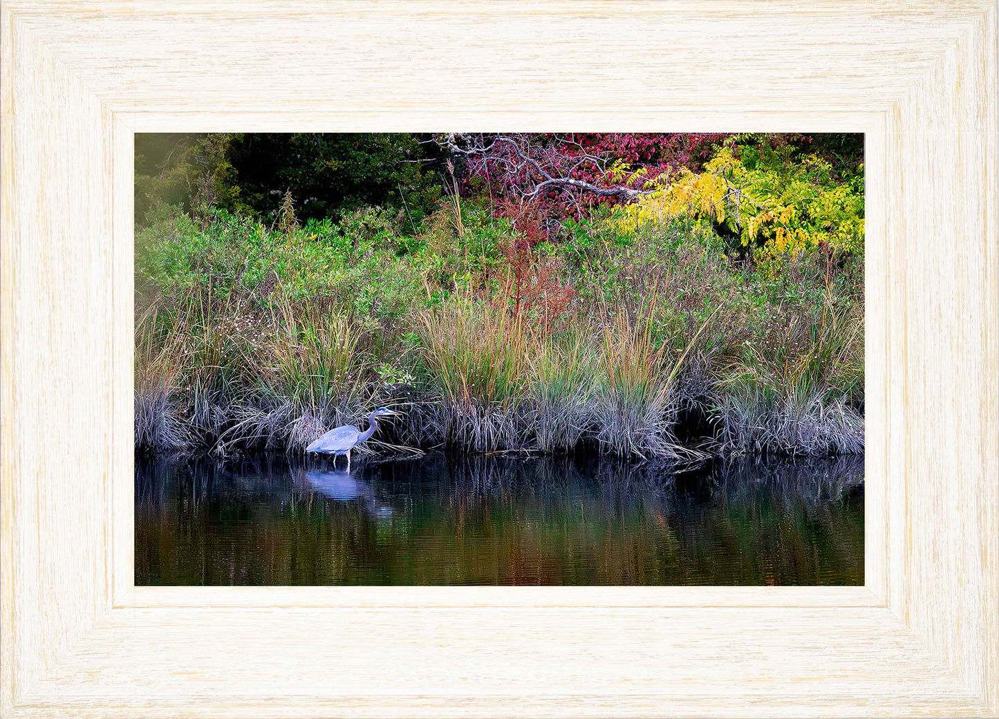 Cadle Creek Heron (Landscape) -- Digital Print