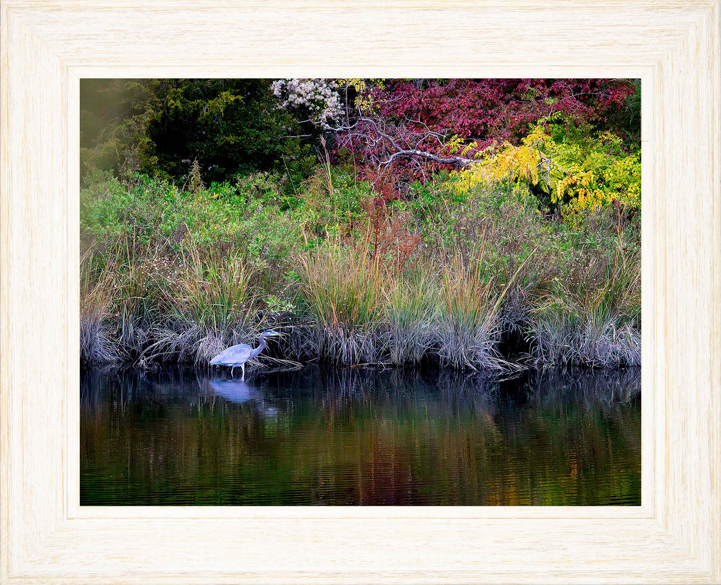 Cadle Creek Heron (Landscape) -- Digital Print