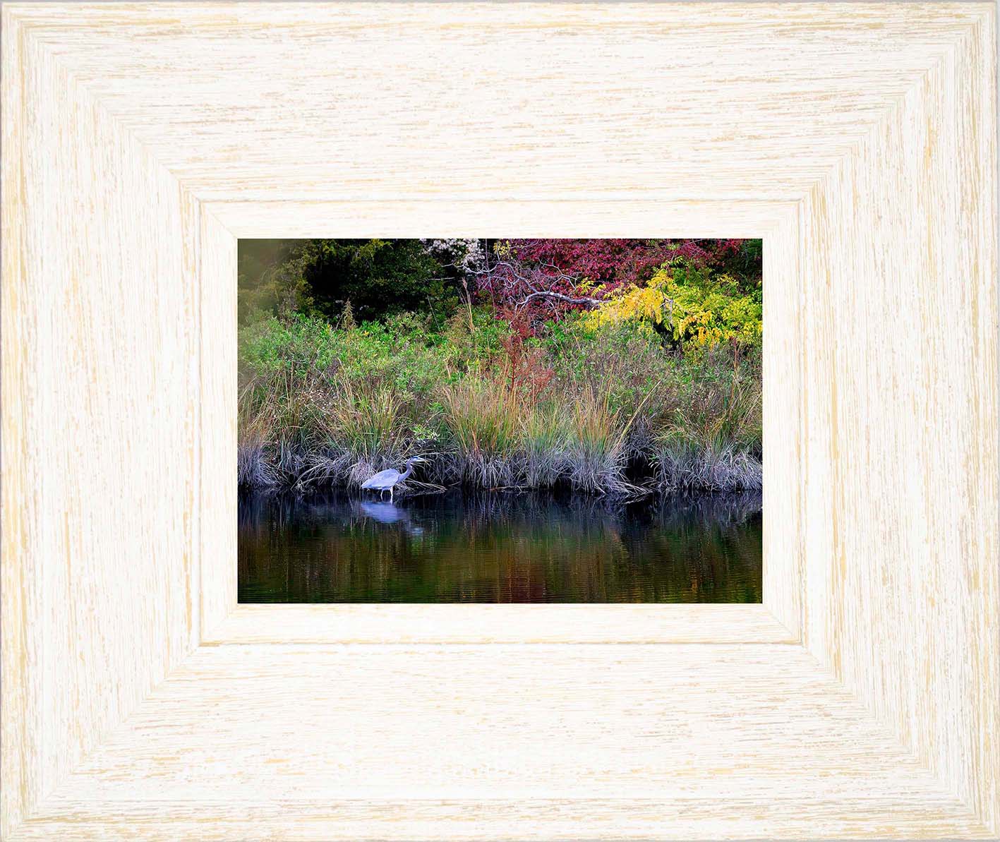 Cadle Creek Heron (Landscape) -- Digital Print