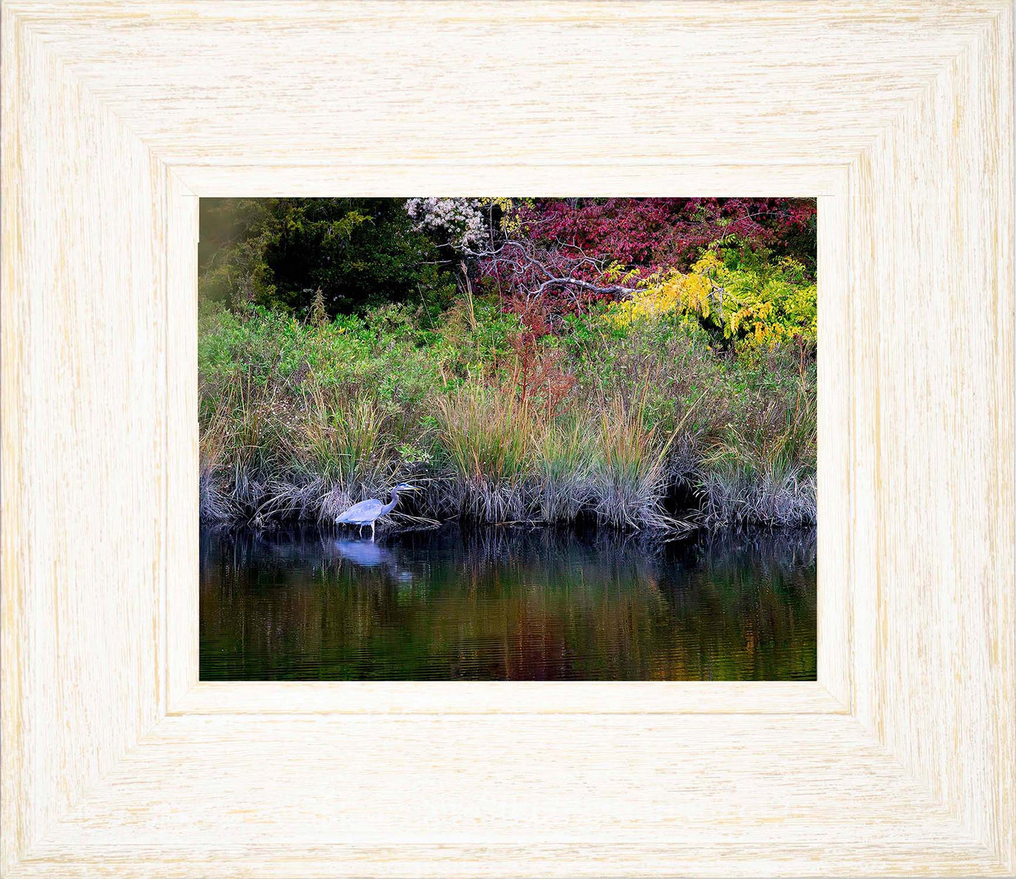 Cadle Creek Heron (Landscape) -- Digital Print