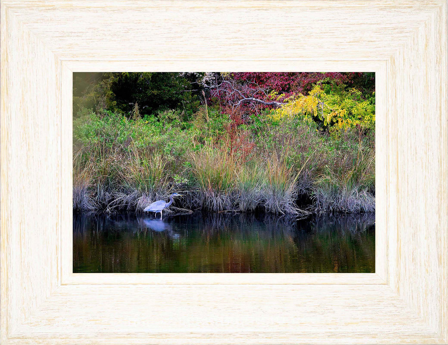 Cadle Creek Heron (Landscape) -- Digital Print
