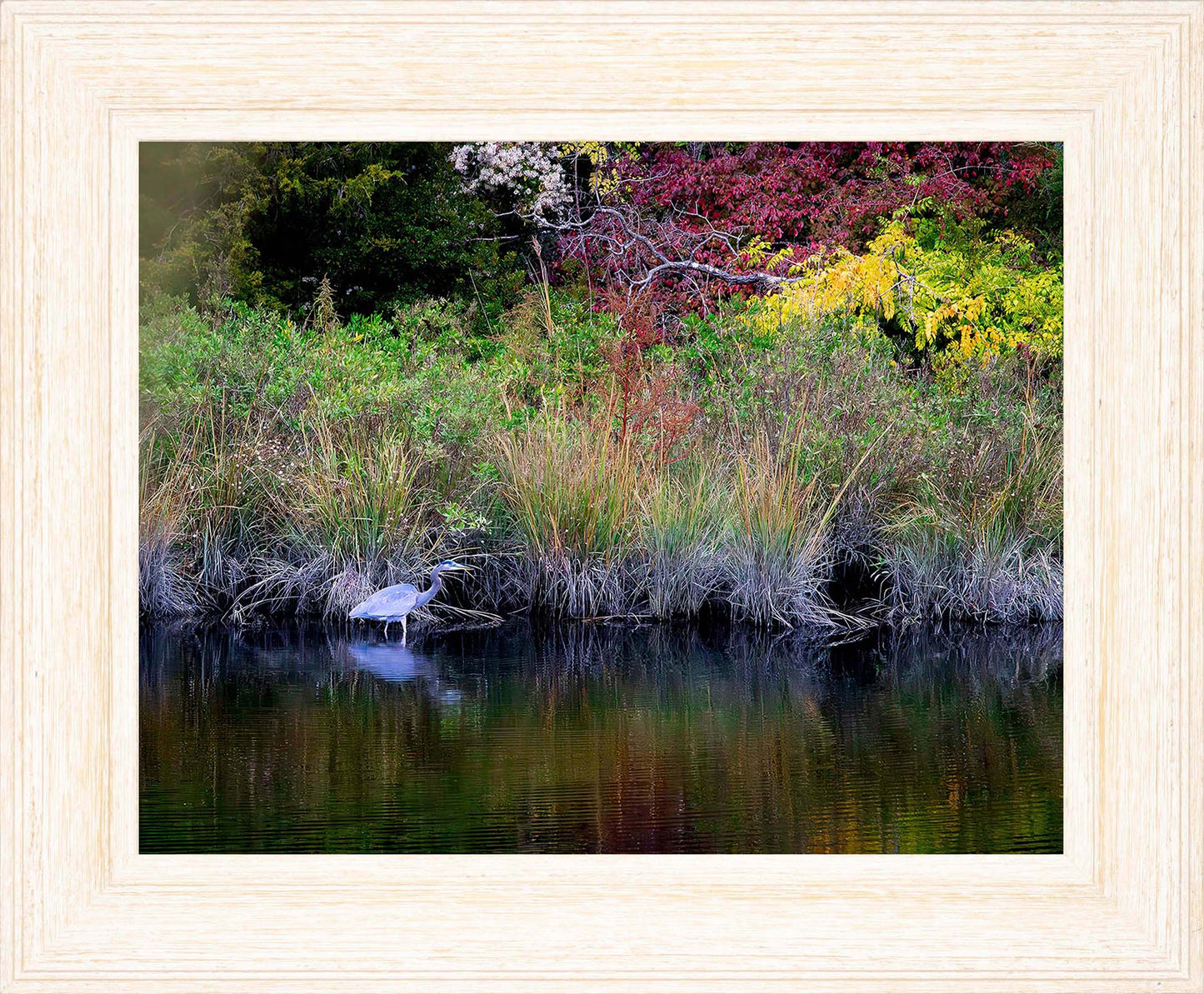 Cadle Creek Heron (Landscape) -- Digital Print