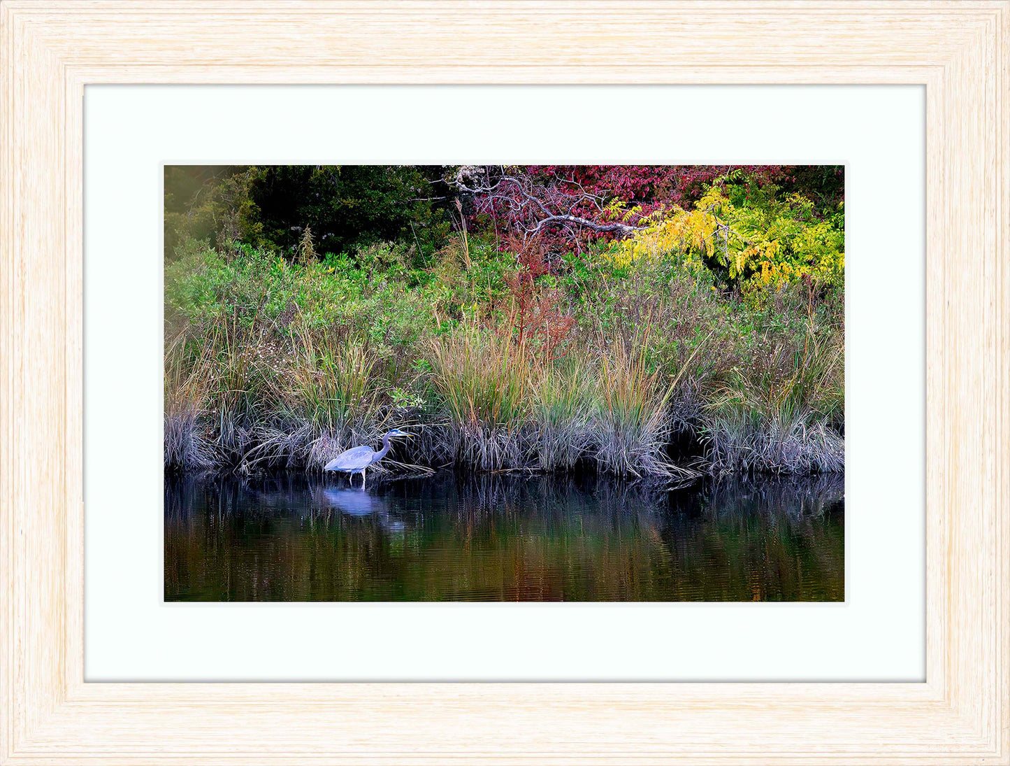 Cadle Creek Heron (Landscape) -- Digital Print