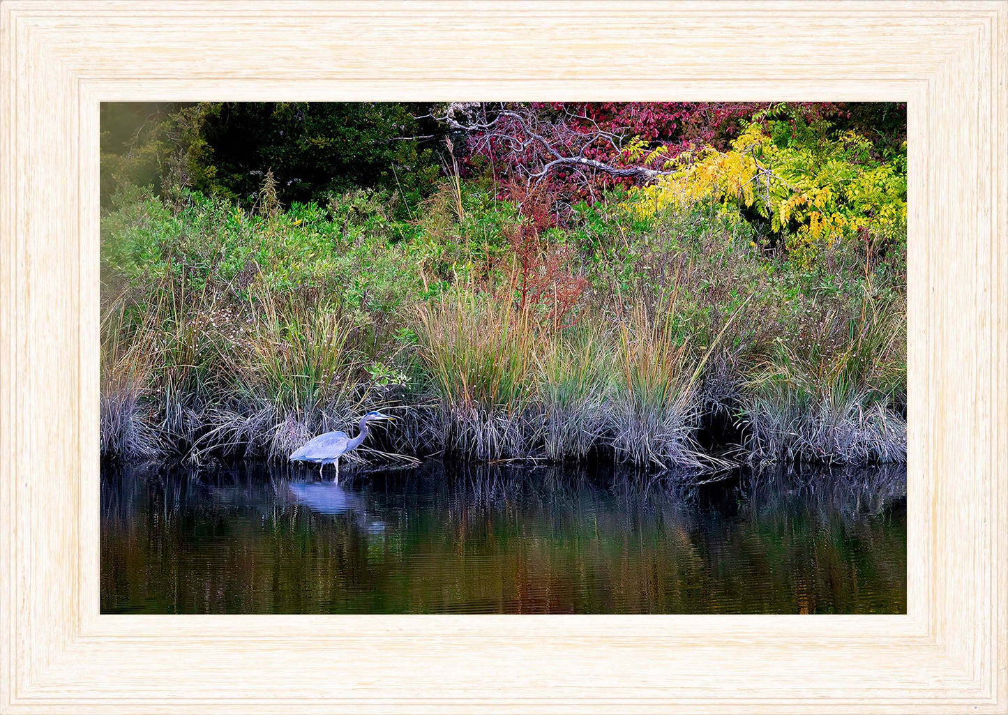 Cadle Creek Heron (Landscape) -- Digital Print