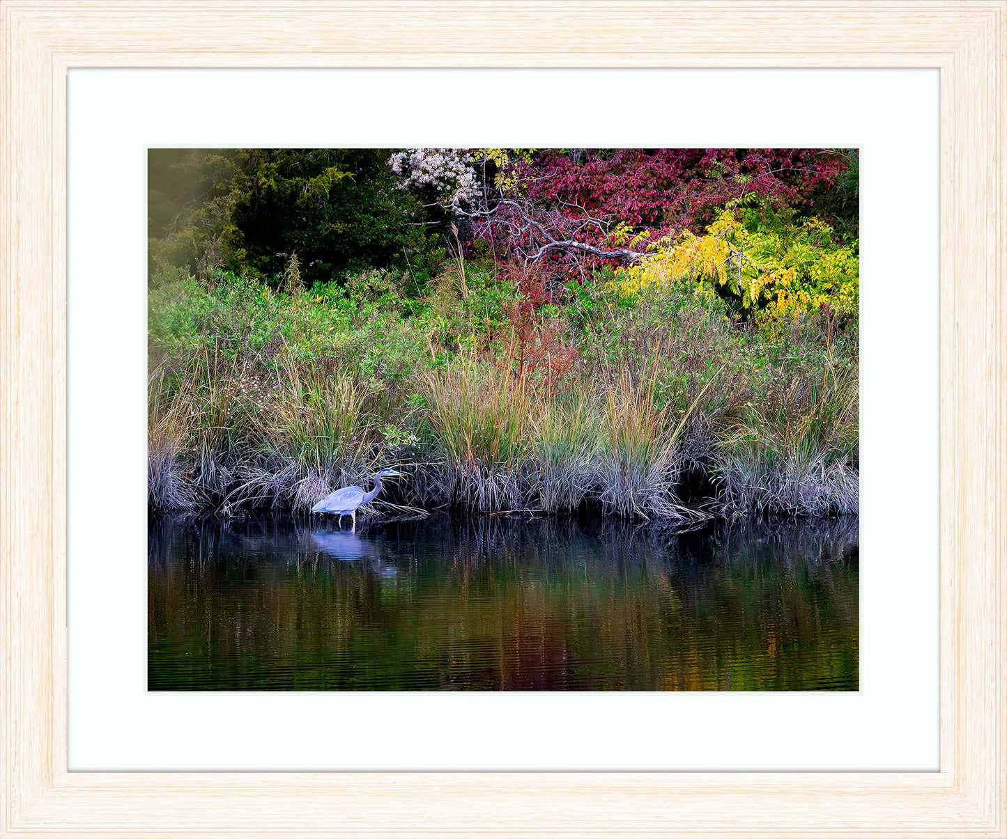 Cadle Creek Heron (Landscape) -- Digital Print