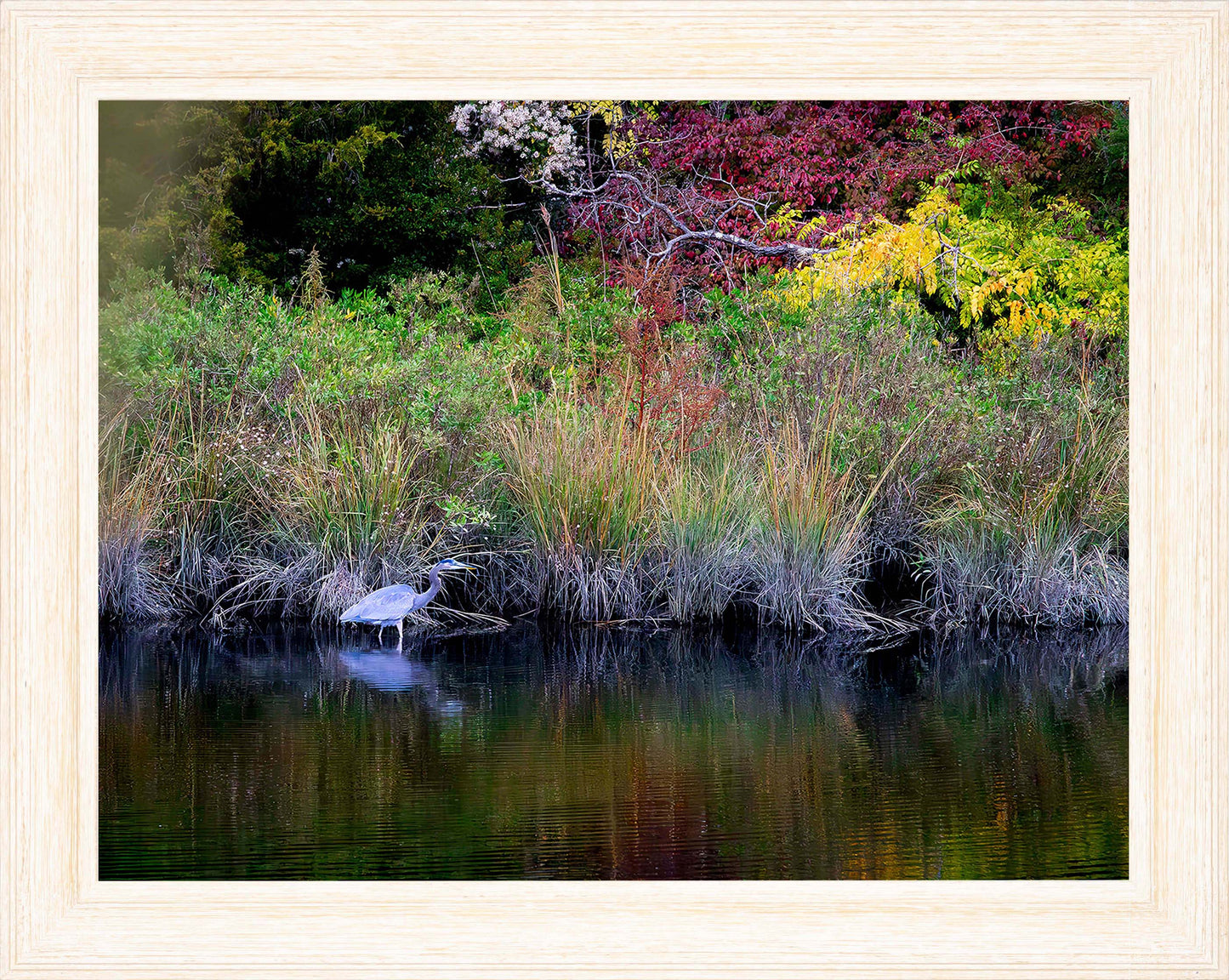 Cadle Creek Heron (Landscape) -- Digital Print
