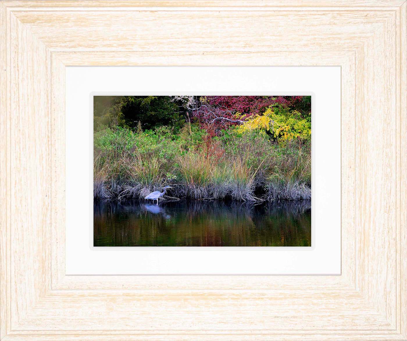 Cadle Creek Heron (Landscape) -- Digital Print