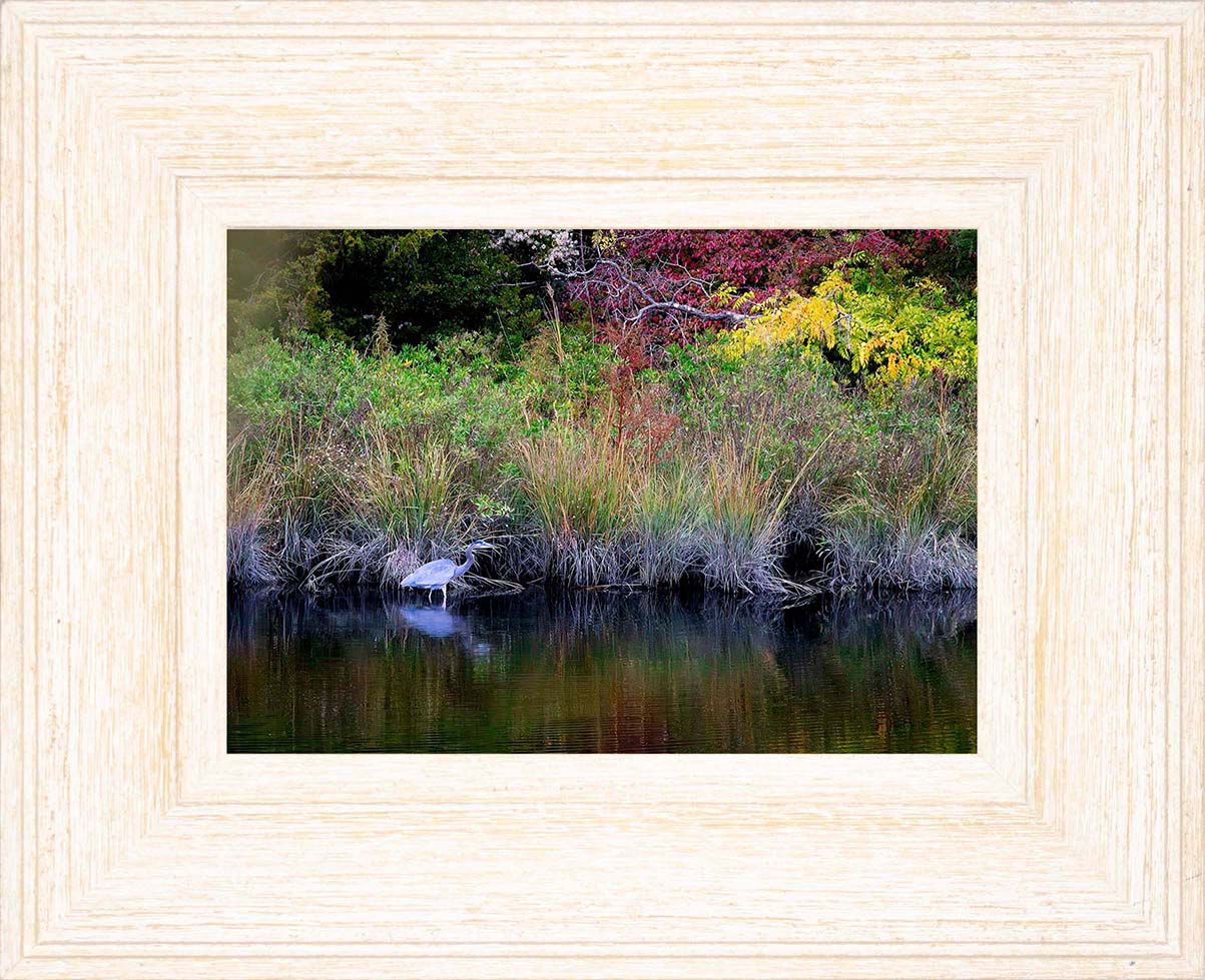 Cadle Creek Heron (Landscape) -- Digital Print